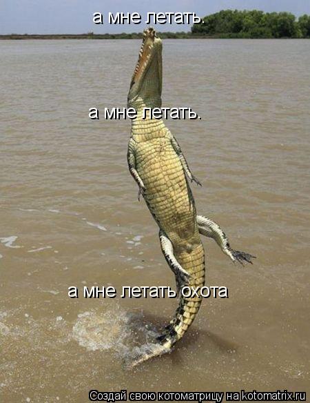 а мне летать. а мне летать. а мне летать охота... Котоматрица: а мне летать. а мне летать. а мне летать охота