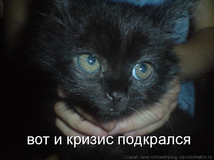 вот и кризис подкрался... Котоматрица: вот и кризис подкрался