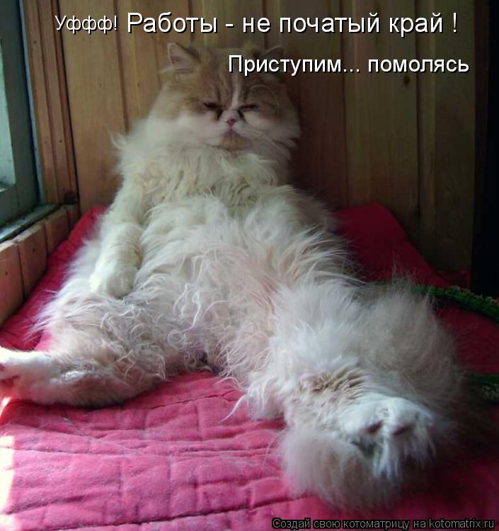 Уффф! Работы - не початый край ! Приступим... помолясь... Котоматрица: Уффф! Работы - не початый край ! Приступим... помолясь