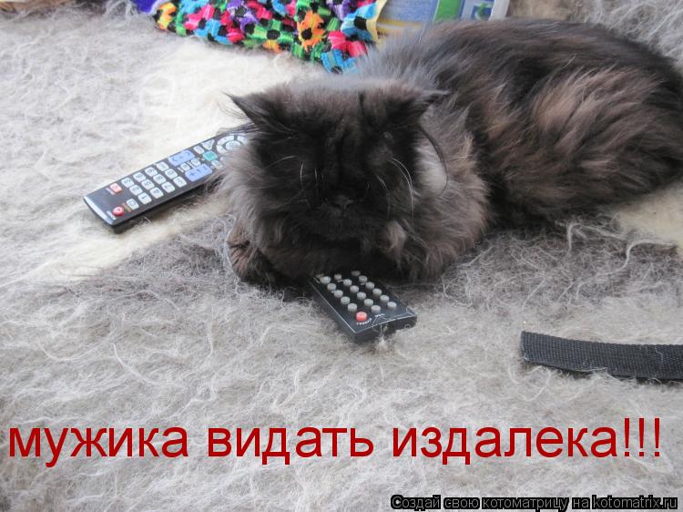 мужика видать издалека!!!... Котоматрица: мужика видать издалека!!!