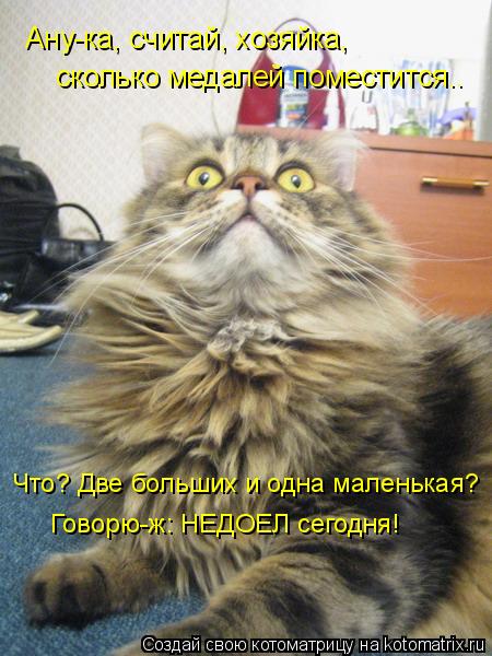 Ану-ка, считай, хозяйка, сколько медалей поместится.. Что? Две больших и одна маленькая? Говорю-ж: Н... Котоматрица: Ану-ка, считай, хозяйка, сколько медалей поместится.. Что? Две больших и одна маленькая? Говорю-ж: НЕДОЕЛ сегодня!