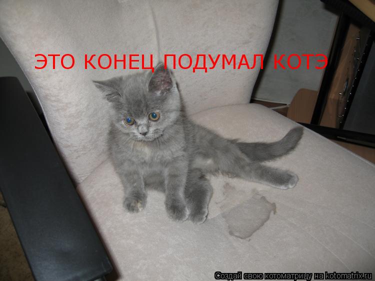 ЭТО КОНЕЦ ПОДУМАЛ КОТЭ... Котоматрица: ЭТО КОНЕЦ ПОДУМАЛ КОТЭ