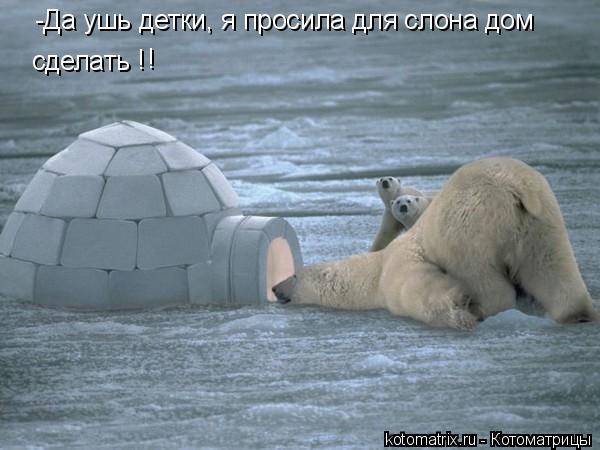 -Да ушь детки, я просила для слона дом сделать сделать ! !... Котоматрица: -Да ушь детки, я просила для слона дом сделать сделать ! !
