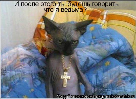 И после этого ты будешь говорить что я ведьма?... Котоматрица: И после этого ты будешь говорить что я ведьма?