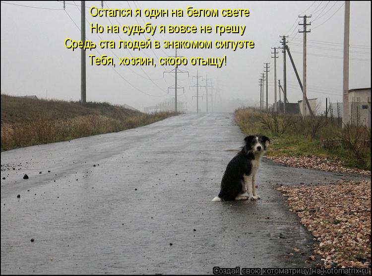 Остался я один на белом свете Но на судьбу я вовсе не грешу Средь ста людей в знакомом силуэте Тебя, ... Котоматрица: Остался я один на белом свете Но на судьбу я вовсе не грешу Средь ста людей в знакомом силуэте Тебя, хозяин, скоро отыщу!