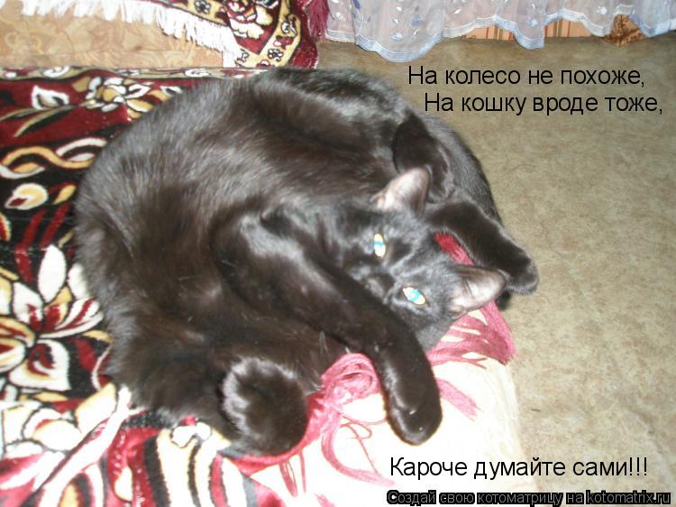 На колесо не похоже, На кошку вроде тоже, Кароче думайте сами!!!... Котоматрица: На колесо не похоже, На кошку вроде тоже, Кароче думайте сами!!!