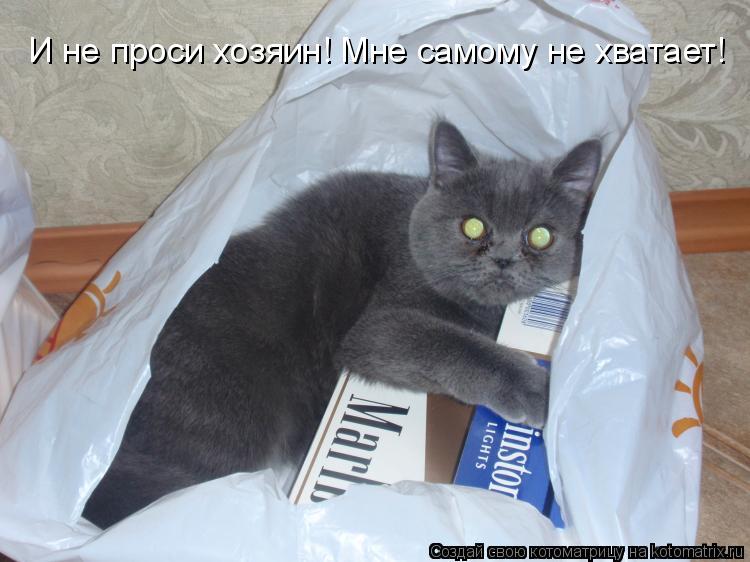 И не проси хозяин! Мне самому не хватает!... Котоматрица: И не проси хозяин! Мне самому не хватает!