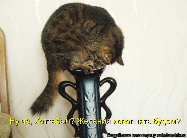 Ну чё, Хоттабыч? Желания исполнять будем?... Котоматрица: Ну чё, Хоттабыч? Желания исполнять будем?