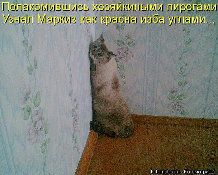 Полакомившись хозяйкиными пирогами Узнал Маркиз как красна изба углами...... Котоматрица: Полакомившись хозяйкиными пирогами Узнал Маркиз как красна изба углами...