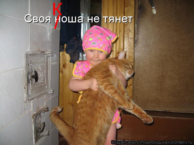 Котоматрица: Своя ноша не тянет / К