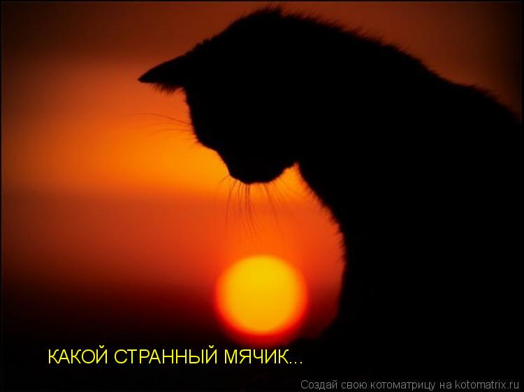 КАКОЙ СТРАННЫЙ МЯЧИК...... Котоматрица: КАКОЙ СТРАННЫЙ МЯЧИК...