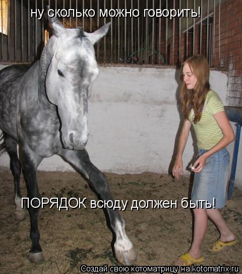ну сколько можно говорить! ПОРЯДОК всюду должен быть!... Котоматрица: ну сколько можно говорить! ПОРЯДОК всюду должен быть!