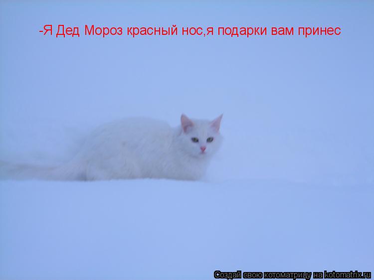 -Я Дед Мороз красный нос,я подарки вам принес... Котоматрица: -Я Дед Мороз красный нос,я подарки вам принес