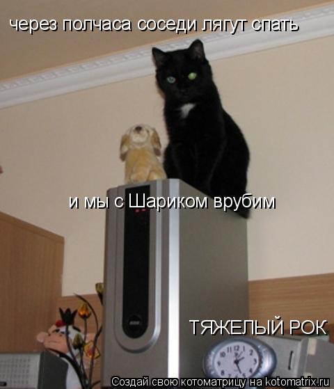 через полчаса соседи лягут спать и мы с Шариком врубим ТЯЖЕЛЫЙ РОК... Котоматрица: через полчаса соседи лягут спать и мы с Шариком врубим ТЯЖЕЛЫЙ РОК