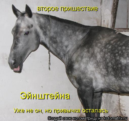 второе пришествие Эйнштейна Уже не он, но привычка осталась... Котоматрица: второе пришествие Эйнштейна Уже не он, но привычка осталась