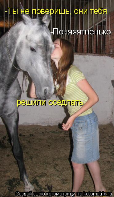 решили оседлать -Ты не поверишь, они тебя -Поняяятненько... Котоматрица: решили оседлать -Ты не поверишь, они тебя -Поняяятненько