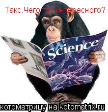 Такс.Чего тут интересного?... Котоматрица: Такс.Чего тут интересного?