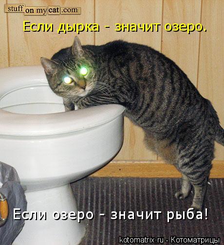Если дырка - значит озеро. Если озеро - значит рыба!... Котоматрица: Если дырка - значит озеро. Если озеро - значит рыба!