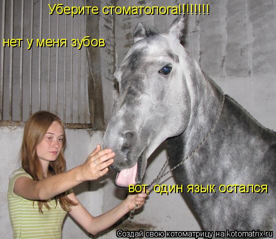 нет у меня зубов вот, один язык остался Уберите стоматолога!!!!!!!!... Котоматрица: нет у меня зубов вот, один язык остался Уберите стоматолога!!!!!!!!