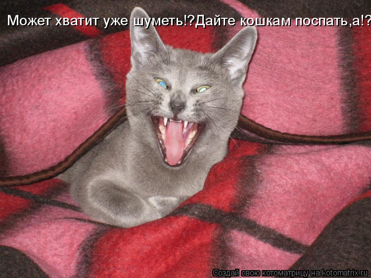 Может хватит уже шуметь!?Дайте кошкам поспать,а!?... Котоматрица: Может хватит уже шуметь!?Дайте кошкам поспать,а!?