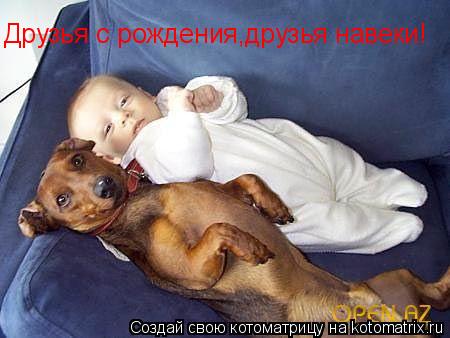 Друзья с рождения,друзья навеки!... Котоматрица: Друзья с рождения,друзья навеки!