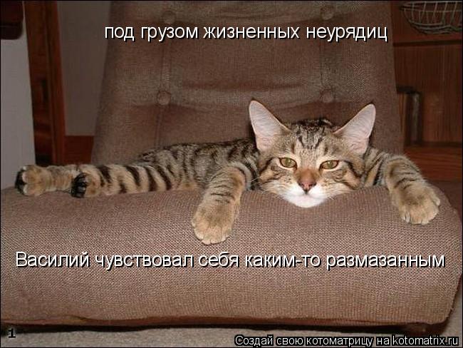 под грузом жизненных неурядиц Василий чувствовал себя каким-то размазанным... Котоматрица: под грузом жизненных неурядиц Василий чувствовал себя каким-то размазанным