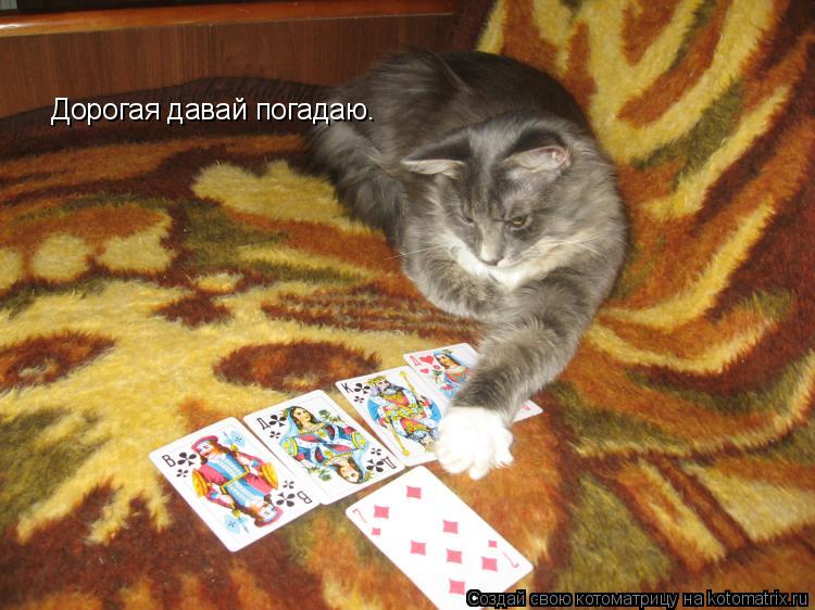 Дорогая давай погадаю.... Котоматрица: Дорогая давай погадаю.