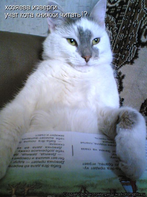 хозяева изверги учат кота книжки читать !?... Котоматрица: хозяева изверги учат кота книжки читать !?