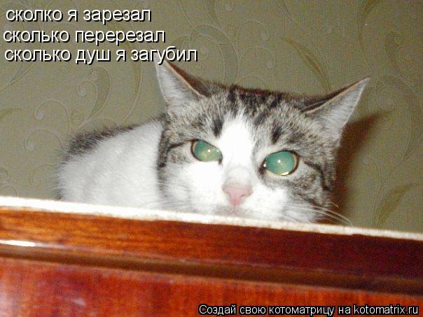 сколко я зарезал сколько перерезал сколько душ я загубил... Котоматрица: сколко я зарезал сколько перерезал сколько душ я загубил