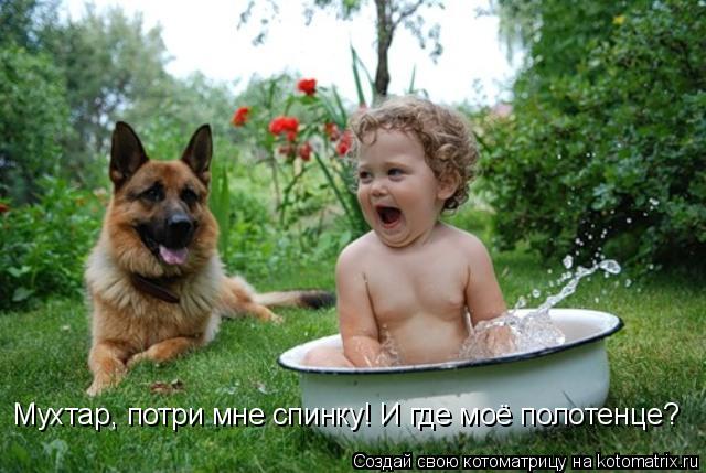 Мухтар, потри мне спинку! И где моё полотенце?... Котоматрица: Мухтар, потри мне спинку! И где моё полотенце?