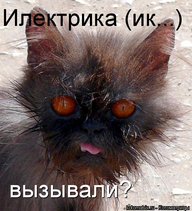 Илектрика (ик...) вызывали?... Котоматрица: Илектрика (ик...) вызывали?