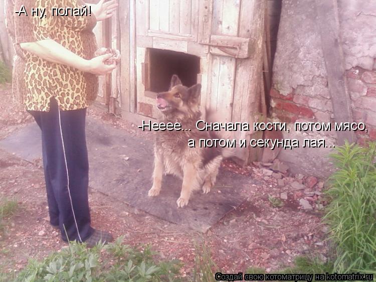 -А ну, полай! -Нееее... Сначала кости, потом мясо, а потом и секунда лая...... Котоматрица: -А ну, полай! -Нееее... Сначала кости, потом мясо, а потом и секунда лая...
