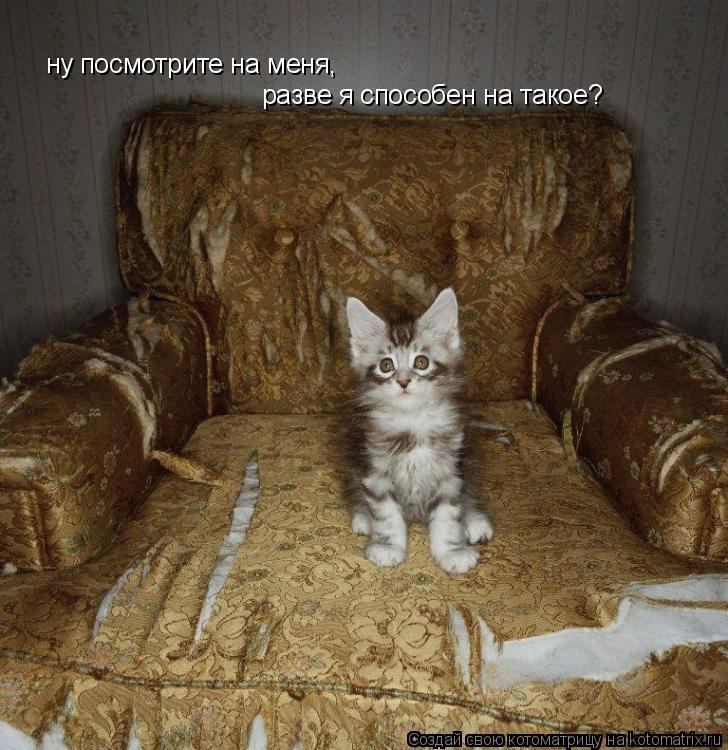ну посмотрите на меня, разве я способен на такое?... Котоматрица: ну посмотрите на меня, разве я способен на такое?