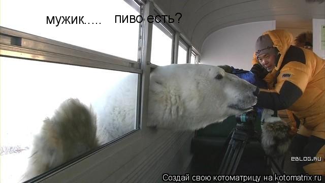 мужик..... пиво есть?... Котоматрица: мужик..... пиво есть?
