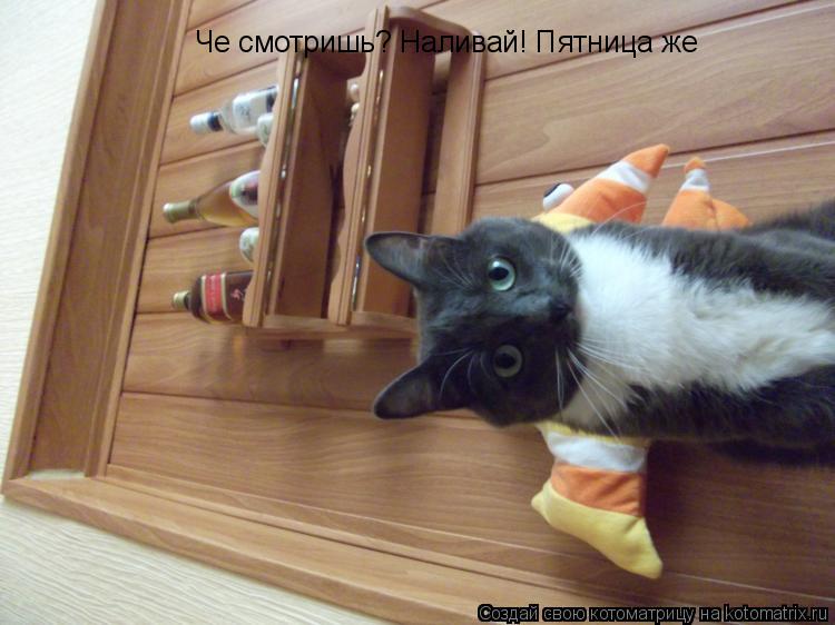 Че смотришь? Наливай! Пятница же... Котоматрица: Че смотришь? Наливай! Пятница же