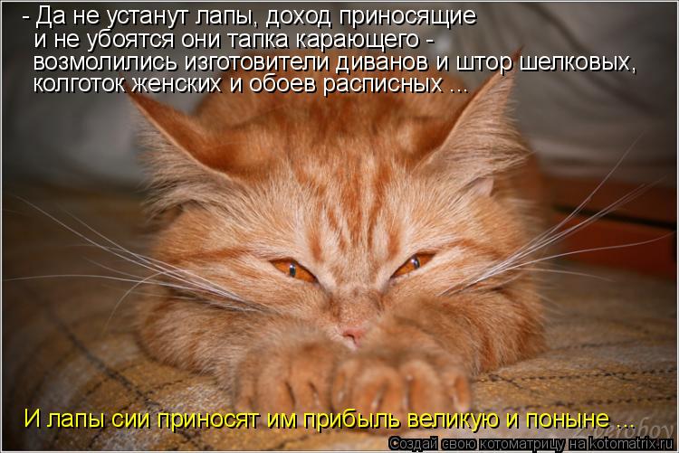 - Да не устанут лапы, доход приносящие и не убоятся они тапка карающего - возмолились изготовители ди... Котоматрица: - Да не устанут лапы, доход приносящие и не убоятся они тапка карающего - возмолились изготовители диванов и штор шелковых, колготок женски
