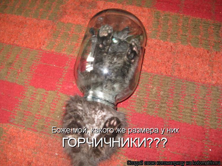 Боже мой, какого же размера у них ГОРЧИЧНИКИ???... Котоматрица: Боже мой, какого же размера у них ГОРЧИЧНИКИ???