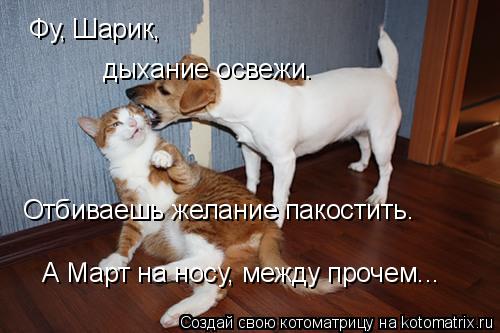 Фу, Шарик, дыхание освежи. Отбиваешь желание пакостить. А Март на носу, между прочем...... Котоматрица: Фу, Шарик, дыхание освежи. Отбиваешь желание пакостить. А Март на носу, между прочем...
