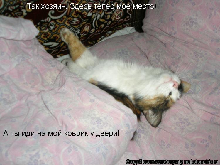 Так хозяин. Здесь тепер моё место! А ты иди на мой коврик у двери!!!... Котоматрица: Так хозяин. Здесь тепер моё место! А ты иди на мой коврик у двери!!!