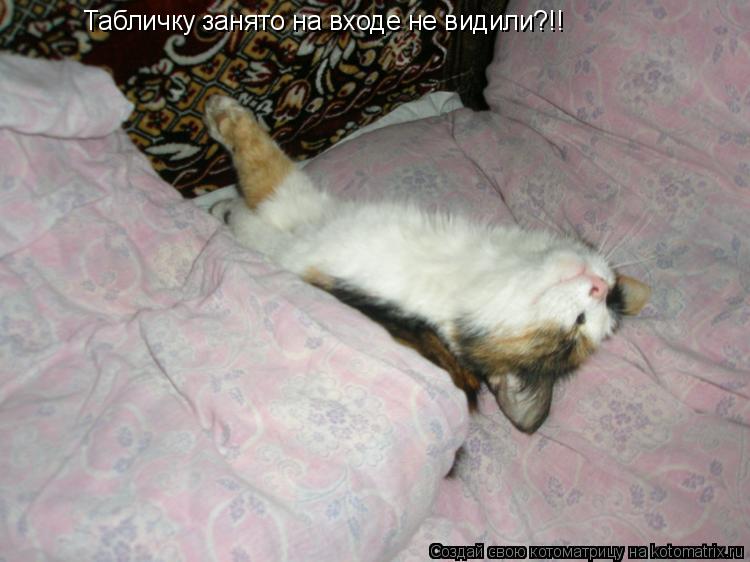 Табличку занято на входе не видили?!!... Котоматрица: Табличку занято на входе не видили?!!