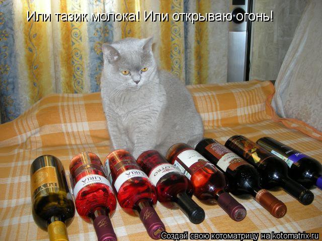 Или тазик молока! Или открываю огонь!... Котоматрица: Или тазик молока! Или открываю огонь!