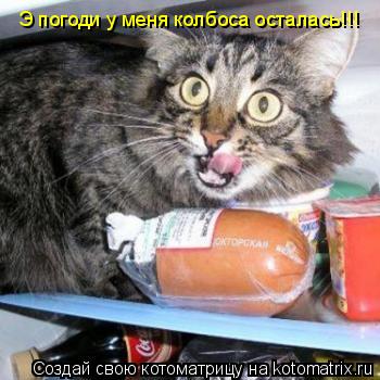 Э погоди у меня колбоса осталась!!!... Котоматрица: Э погоди у меня колбоса осталась!!!