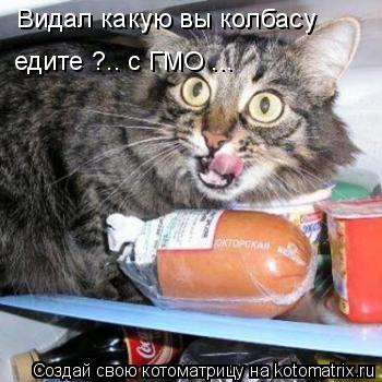Видал какую вы колбасу едите ?.. с ГМО ...... Котоматрица: Видал какую вы колбасу едите ?.. с ГМО ...