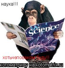 наука!!! хотьчеловеком буду!!... Котоматрица: наука!!! хотьчеловеком буду!!