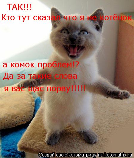 ТАК!!! Кто тут сказал что я не котёнок а комок проблем!? Да за такие слова я вас щас порву!!!!!... Котоматрица: ТАК!!! Кто тут сказал что я не котёнок а комок проблем!? Да за такие слова я вас щас порву!!!!!