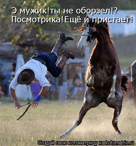 Э мужик!ты не оборзел!? Посмотрика!Ещё и пристает!... Котоматрица: Э мужик!ты не оборзел!? Посмотрика!Ещё и пристает!