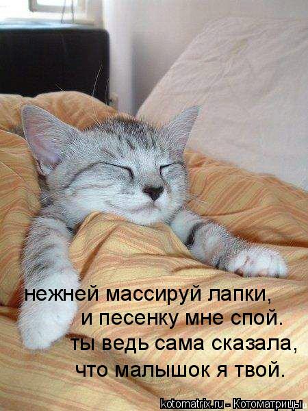 нежней массируй лапки, и песенку мне спой. ты ведь сама сказала, что малышок я твой.... Котоматрица: нежней массируй лапки, и песенку мне спой. ты ведь сама сказала, что малышок я твой.