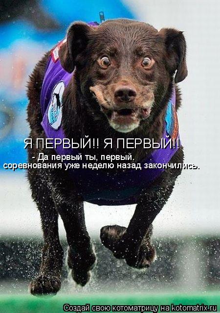 Я ПЕРВЫЙ!! Я ПЕРВЫЙ!! - Да первый ты, первый. соревнования уже неделю назад закончились.... Котоматрица: Я ПЕРВЫЙ!! Я ПЕРВЫЙ!! - Да первый ты, первый. соревнования уже неделю назад закончились.