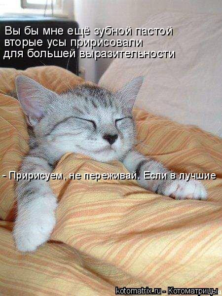 Вы бы мне ещё зубной пастой вторые усы пририсовали для большей выразительности - Пририсуем, не переж... Котоматрица: Вы бы мне ещё зубной пастой вторые усы пририсовали для большей выразительности - Пририсуем, не переживай. Если в лучшие