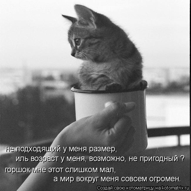 не подходящий у меня размер, иль возраст у меня, возможно, не пригодный ? горшок мне этот слишком мал... Котоматрица: не подходящий у меня размер, иль возраст у меня, возможно, не пригодный ? горшок мне этот слишком мал, а мир вокруг меня совсем огромен.